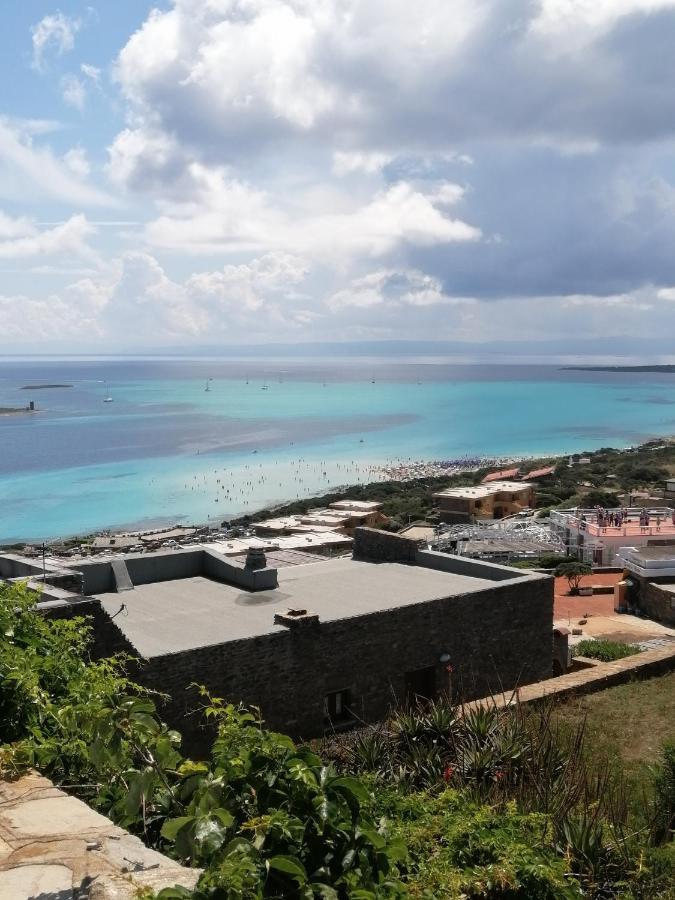 Vista Mare Capo Falcone *